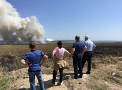 Причиной пожара в анапских плавнях стало сжигание мусора