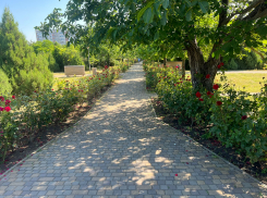 В Анапе продолжается работа по благоустройству общественных пространств