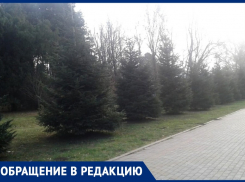 Анапчанка Лариса Антипова предлагает создавать в Анапе ещё больше парков