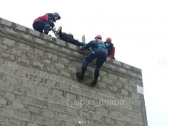 В Гай-Кодзоре под Анапой спасатели сняли мужчину с 7-метровой высоты