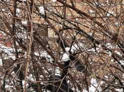 Недалеко от Анапы обнаружили упавший БПЛА 