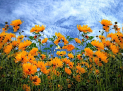 Что ждёт Анапу сегодня, 19 июля?