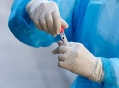 По краю +87, в Анапе новых инфицированных нет. Актуальная сводка на 12 августа