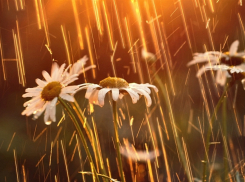 Сегодня синоптики прогнозируют дождь в Анапе