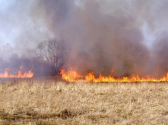 На дороге под Анапой женщина поджигала поля