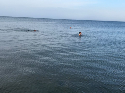 За неделю до зимы люди с удовольствием купаются в Чёрном море у берегов Анапы