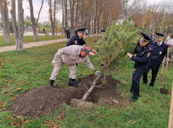 В сельских округах Анапы озеленяют парки