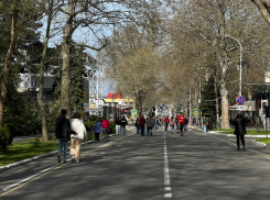 В День поисков смысла жизни в Анапе ожидается небольшой дождь