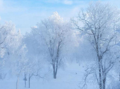 Экстренное предупреждение для жителей Кубани выпустили из-за резкого понижения температуры