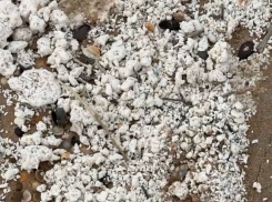 «Нужны экологи»: побережье под Анапой загрязнено неизвестной субстанцией