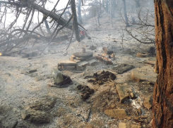 Появились эксклюзивные фото и видео пожара на Утрише под Анапой