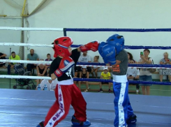 Первенство по кикбоксингу началось в Анапе