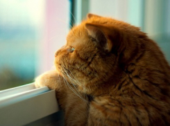 В понедельник, 22 октября, в Анапе дождливо и пасмурно