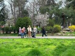 В Большой Анапе проходит масштабный субботник 