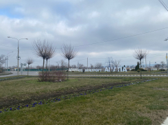 В день рождения эскалатора в Анапе с утра ясно, а потом будет пасмурно