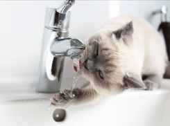 Где в Анапе почти на целый день отключат воду