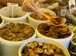 Продукцию кубанских производителей можно попробовать на ярмарке в центре Анапы