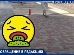 Анапчане задыхаются от зловония возле «Табриса»