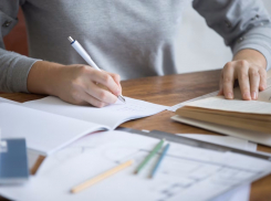 Анапские школьники участвуют в олимпиаде по итальянскому языку