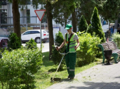 На покос сорняков в Анапе выделили 7 млн рублей