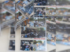 В Анапе выпустили магнитики с символом лета-2024 – мусорными свалками по всему курорту