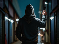 Анапчан предупреждают, что мошенники нацелились на детей 