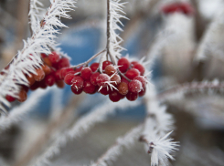 22 ноября анапчан ждёт мороз