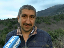 Эхо пожара в «Утрише»: пострадало 4 800 деревьев