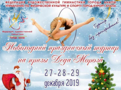 Перед новогодними праздниками анапские гимнасты будут соревноваться за призы Деда Мороза
