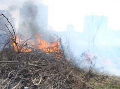Пожары и кража: чем запомнилась анапчанам эта неделя