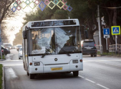 Александр Кривозуб удивлен, что автобусы ночью не ходят в аэропорт Анапы