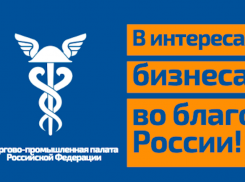 Анапским предпринимателям разъяснят он-лайн о господдержке при уплате налогов