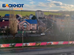 ЖКХ Анапы: вместо снесенных деревьев на Объездной появятся новые 