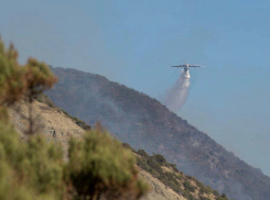 На директора заповедника «Утриш» в Анапе возбуждено уголовное дело