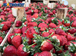 Шок-цена: анапчане удивлены стоимостью клубники