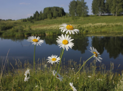 Какой будет погода в Анапе 17 июля?