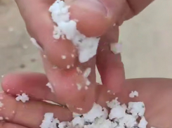 Стали известны возможные причины появления пальмового масла на пляжах Анапы 