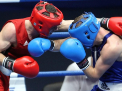 Целую неделю в Анапе россияне, англичане и хорваты будут избивать друг друга изо всех сил