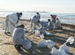 На Кубани ввели краевой режим ЧС из-за разлива нефтепродуктов в Черном море