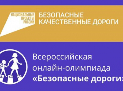 Школьники Анапы могут проверить свои знания правил безопасности дорожного движения