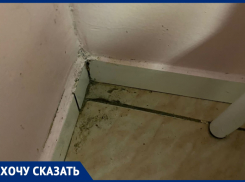 «Грязь и пыль»: Анна Мамуркова возмущена условиями в Детской городской больнице Анапы 