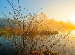 В последний день января в Анапе ясно и до +12