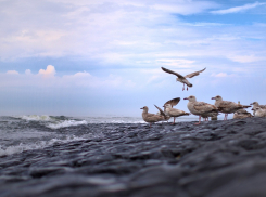 Прогноз погоды на сегодня, 26 апреля: в Анапе обещают солнце