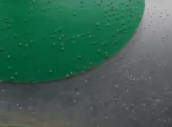 Анапу атаковали комары-звонцы