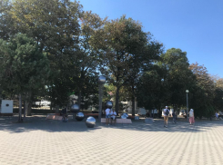 Во Всемирный день в Анапе будет солнечно