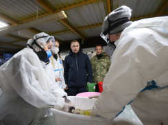 Власти Анапы проверили пункт по спасению птиц в Усатовой Балке