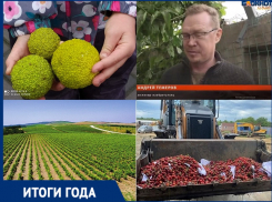 Энологический туризм и уникальная теплица: чем запомнится год в сельском хозяйстве