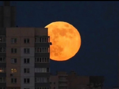 Прошедшей ночью анапчане могли наблюдать суперлуние