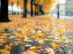 Сегодня в Анапе тепло, но дождливо