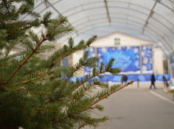 Сегодня, 11 декабря, в Анапе ясно и тепло